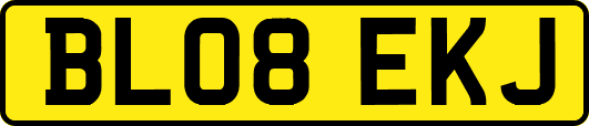 BL08EKJ