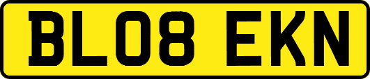 BL08EKN