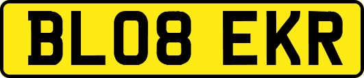 BL08EKR