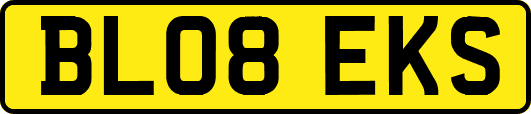 BL08EKS