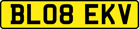 BL08EKV