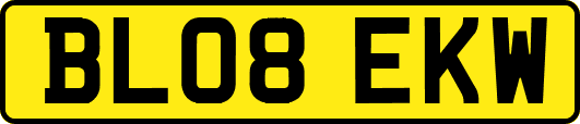 BL08EKW