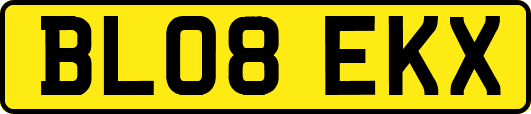 BL08EKX