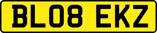 BL08EKZ