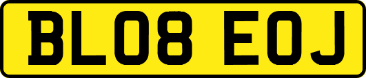 BL08EOJ