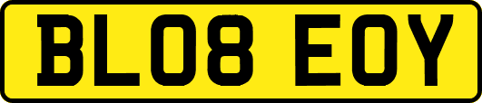 BL08EOY