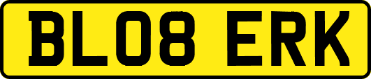 BL08ERK
