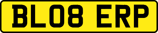 BL08ERP