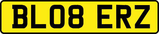 BL08ERZ