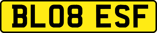 BL08ESF