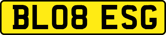 BL08ESG