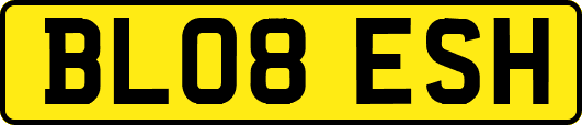 BL08ESH