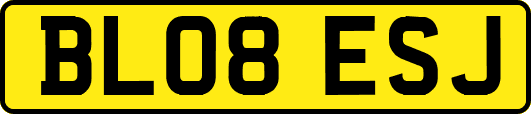 BL08ESJ
