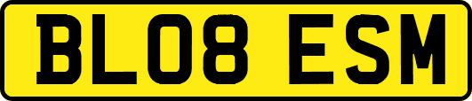 BL08ESM