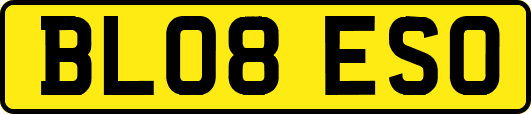 BL08ESO