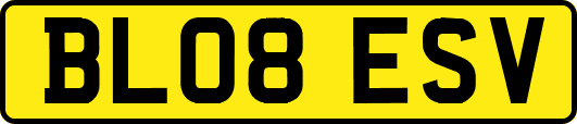 BL08ESV