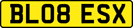 BL08ESX