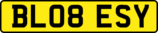 BL08ESY