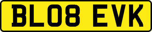 BL08EVK