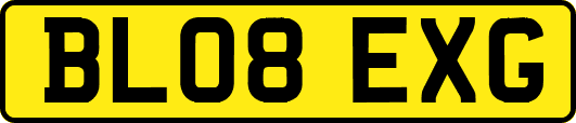 BL08EXG