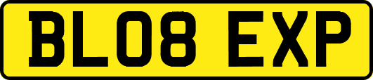 BL08EXP