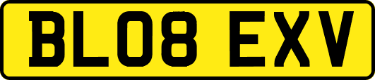 BL08EXV
