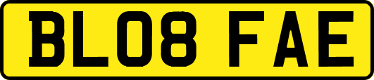 BL08FAE