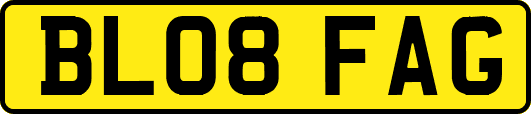 BL08FAG