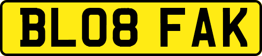 BL08FAK