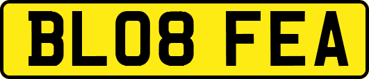 BL08FEA