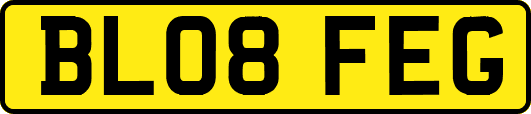 BL08FEG