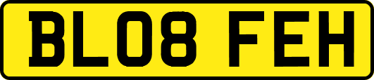 BL08FEH
