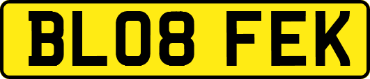 BL08FEK