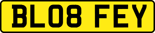 BL08FEY