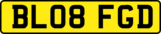BL08FGD
