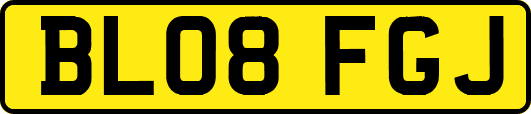 BL08FGJ