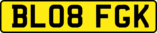 BL08FGK