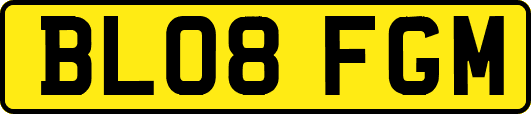 BL08FGM