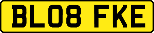 BL08FKE