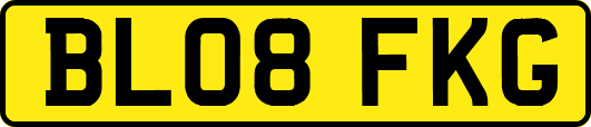 BL08FKG