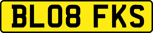 BL08FKS