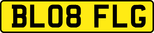 BL08FLG