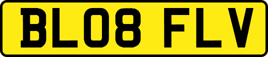 BL08FLV