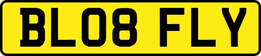 BL08FLY