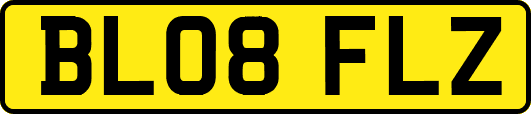 BL08FLZ