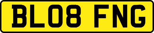 BL08FNG