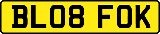 BL08FOK