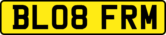 BL08FRM