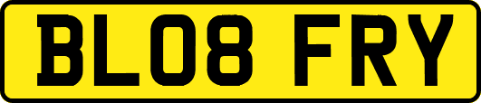 BL08FRY