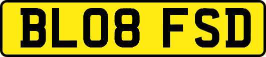BL08FSD